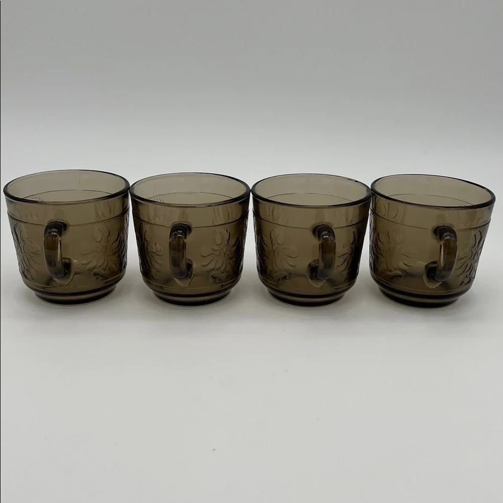 Rigolleau “Flor Colonial” ftSmoky Glass Cups Floral Industria Argentina (Set of